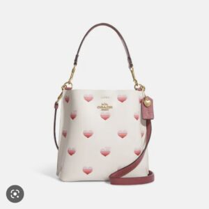 COACH MOLLIE BUCKET 22 PRINTED LOVE