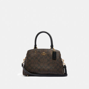 COACH MINI LILLIE CARRYALL IN SIGNATURE CANVAS