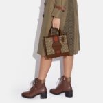 coach dempsey tote 22 in signature jacquard with stripe and coach patch