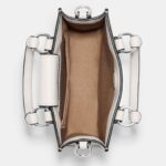 coach north south mini tote in signature canvas