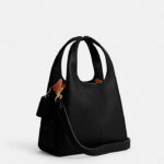 coach lana shoulder bag 23