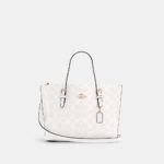 coach mollie tote 25 in signature canvas