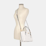 coach mollie tote 25 in signature canvas