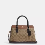 coach mini darcie carryall in colorblock signature canvas