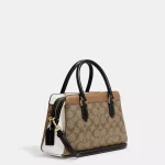 coach mini darcie carryall in colorblock signature canvas