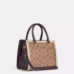 coach grace carryall in signature canvas
