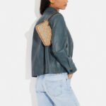 coach nolita 19 in signature canvas