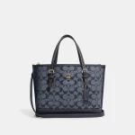 coach mollie tote 25 in signature chambray