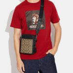 coach sullivan crossbody in blocked signature canvas