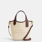 coach hana bucket bag