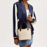 coach hana bucket bag
