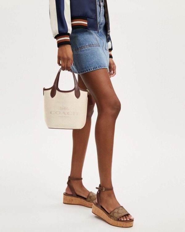 coach hana bucket bag