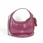 coach mini carmen crossbody bag