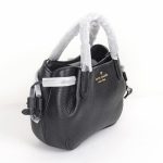 kate spade mini dumpling