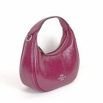 coach mini carmen crossbody bag