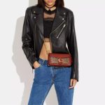 coach tabby chain clutch bag in signature canvas