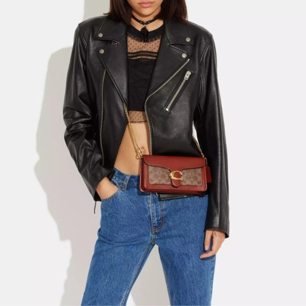 coach tabby chain clutch bag in signature canvas