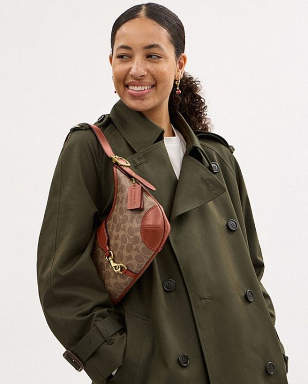coach hamptons hobo in signature canvas