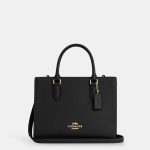 coach maggie small tote bag