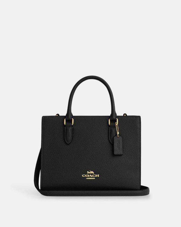 coach maggie small tote bag