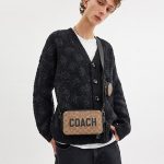 coach charter slim crossbody in signature canvas with coach graphice
