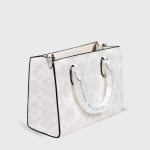 coach maggie small tote bag in signature canvas