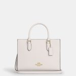 coach maggie small tote bag