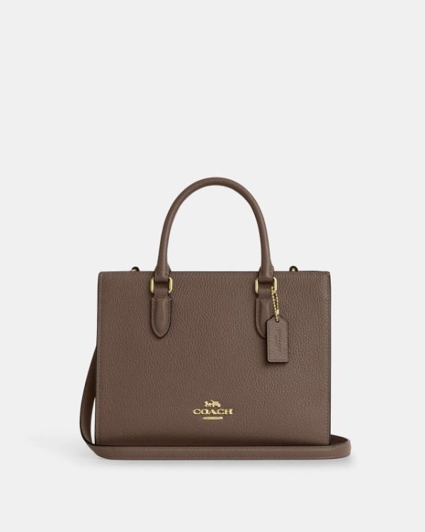 coach maggie small tote bag