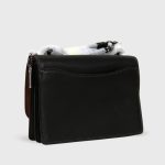 coach mini klare in floral