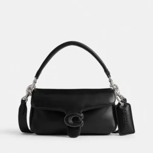 coach pillow tabby 20