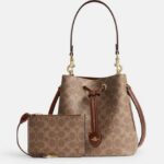 coach rowan bucket in signature canvas